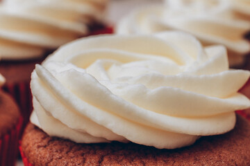 Delicious chocolate cupcakes with swirled frosting cream on top close up. Macro shot. Selective focus.
