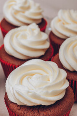 Delicious chocolate cupcakes with swirled frosting cream on top close up. Macro shot. Selective focus.