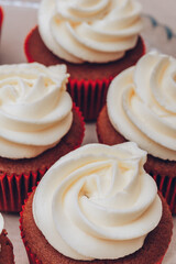 Delicious chocolate cupcakes with swirled frosting cream on top close up. Macro shot. Selective focus.
