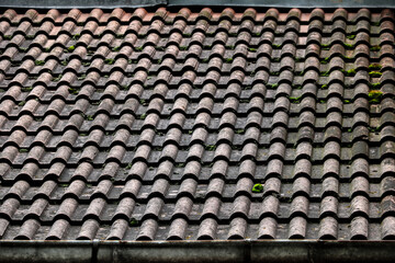 Fototapeta premium Old roof shingles texture for a background.