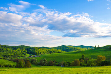 Scenic panoramic view of rolling countryside green farm fields with sheep, cow and green grass.