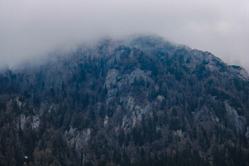 View of the mountain, the top of which is covered with fog in the early autumn morning, selective focus.