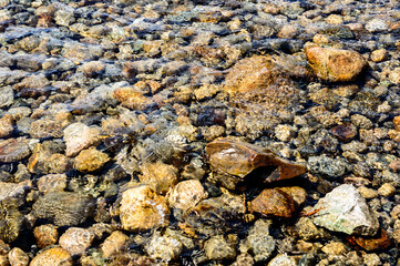 Rocks under crystal clear water in a lake