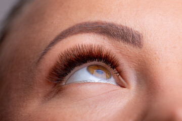 Fototapeta na wymiar Open Woman Eyes with Eyelashes Extension after beauty treatment