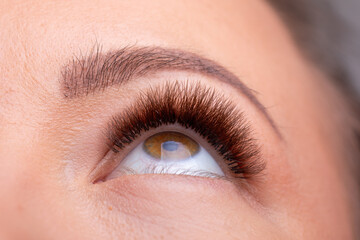 Fototapeta na wymiar Open Woman Eyes with Eyelashes Extension after beauty treatment