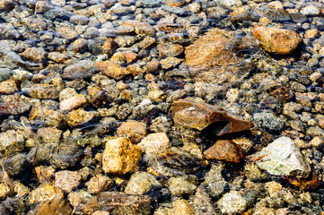 Rocks under crystal clear water in a lake