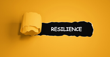 Technology, Internet and network concept.  The word: RESILIENCE