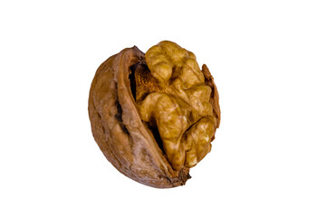 One walnut isolated on the white background