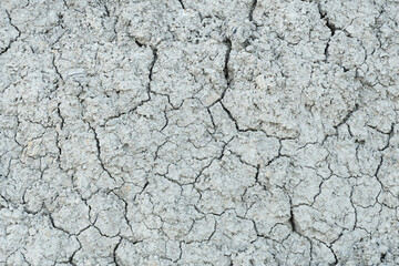 Place the clay had dried to a cracked state black and white color