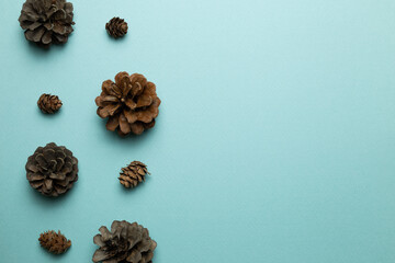 Dry pine cones on sky blue background. flat lay, top view, copy space