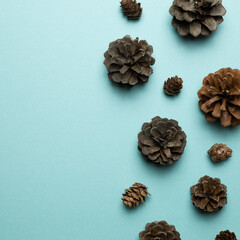 Dry pine cones on sky blue background. flat lay, top view, copy space