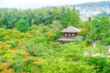 Fototapeta premium 京都 銀閣寺