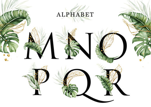 Alphabet set of M  N  O  P  Q  R with tropical leaves watercolor and gold leaves. For logo, initial name, branding, card, identity, etc.