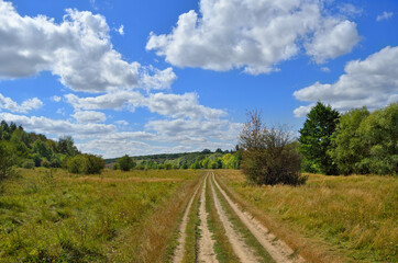 Fototapeta na wymiar Path on a green meadow against a blue sky
