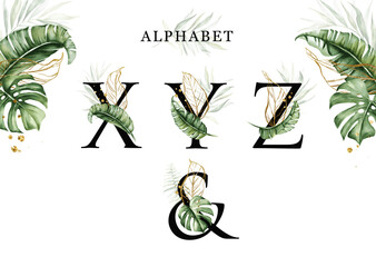 Alphabet set of X  Y  Z  & with tropical leaves watercolor and gold leaves. For logo, initial name, branding, card, identity, etc.