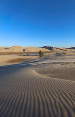 Fototapeta na wymiar sand dunes in Silver Lake/ Oasis in Michigan