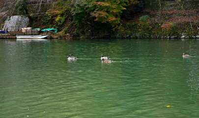 京都　保津川下り 周辺風景