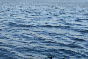 Naklejka premium Rio agua