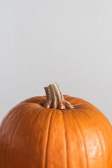 Half pumpkin on white background