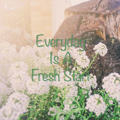 Inspirational quotes “ Everyday Is a Fresh Start “ on beautiful garden background
