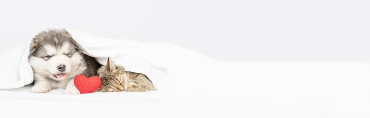 A fluffy Malamute puppy lies next to a tabby cat on a bed under a white blanket with plush hearts...