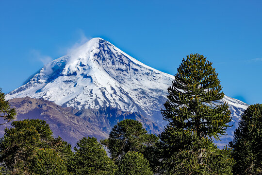 View of the Lanin Volcano from the road to Tromen Lake in Neuquen, Argentina. This volcano is covered by eternal snow.