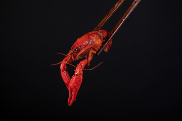closeup gourmet  lobster on old wooden table