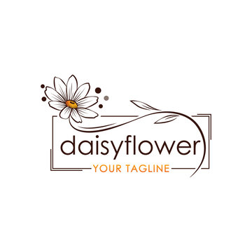 beautiful daisy flower logo icon illustration