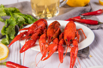closeup gourmet  lobster on white wooden table