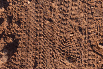 Dirt texture with on a trail outdoors with footprints and tire tracks