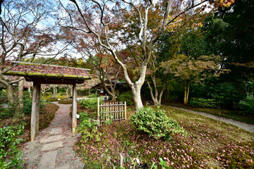 日本の紅葉と滝