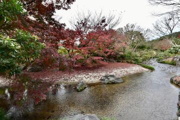 日本の紅葉と滝