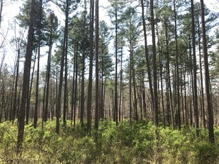 landscape, architecture, nature, mountains, scenery