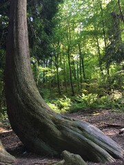 landscape, architecture, nature, mountains, scenery