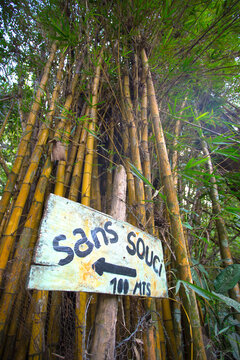 Sign stating no problem in French and bamboo