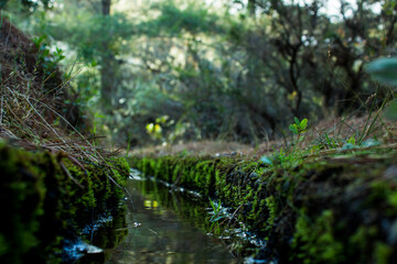 paisaje verde a orillas de un rio