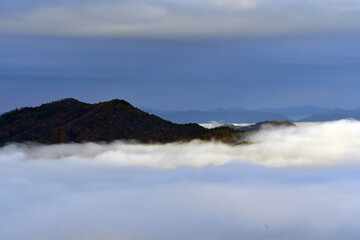 霧の都「亀岡霧のテラス」からの雲海絶景