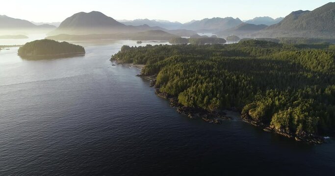 Hazy Evening Above Vancouver Island Coastline, Canada, Drone Aerial View. Scenic Landscape, Green Forest and Calm Pacific Ocean