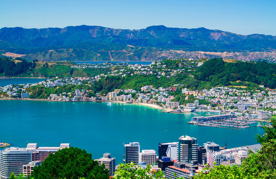 Summer view of Wellington city and harbour viewed from Tinakori Hill. The inner city high rise buildings are visible in the foreground with Oriental Bay and Mount Victoria in the middle ground.