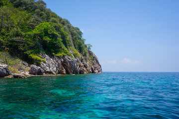Naklejka premium Flora and fauna of the tropical Phi Phi islands in Thailand