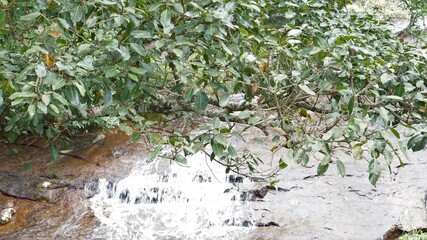 water in the sessional falls