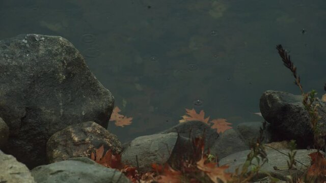 Rain splashing on the shore of a lake