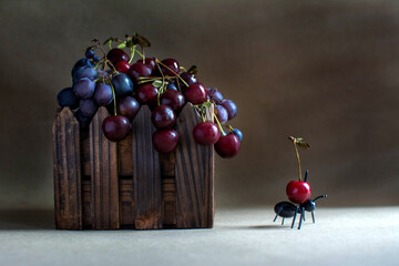 Cherries and grapes in an ant box