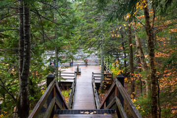 Wood stairs walkway in forest at Tahquamenon Falls State Park in Michigan. Fall colors