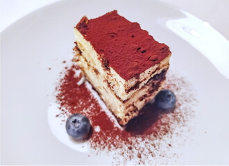Tiramisu dessert, Italian Dessert consisting of layers of sponge cake soaked in coffee and brandy or liquor with powdered chocolate and mascarpone cheese. Selective focus