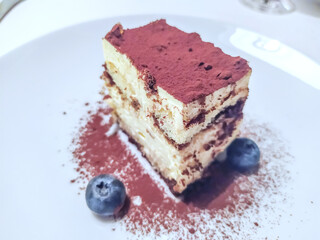 Tiramisu dessert, Italian Dessert consisting of layers of sponge cake soaked in coffee and brandy or liquor with powdered chocolate and mascarpone cheese. Selective focus
