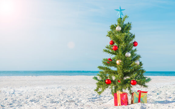 Christmas tree on the beach. Gift Boxes on sand beach shore. Decorated pine or fir tree. Merry Christmas celebration party on background ocean. Winter vacations in Florida. Sunny day. Happy New Year. 