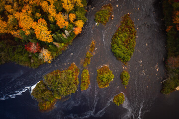 Beautiful look down autumn aerial of islands in the Tahquamenon River covered with trees and vegetation with green, yellow and red colored trees on the adjacent shore.