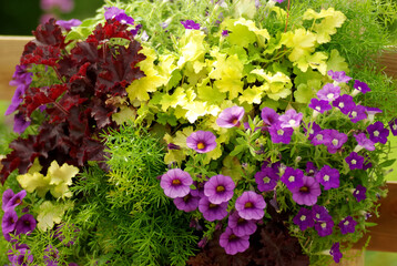 花束のような寄せ植え