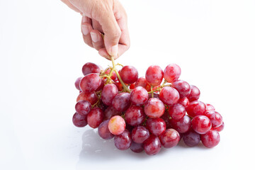 Hand holding fresh red bunch of grapes isolated on white background.